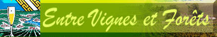 Entre Vignes et Forets